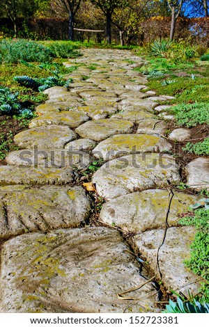 old trail of gray cobblestones