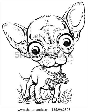 Shutterstock Puzzlepix Shutterstock Puzzlepix