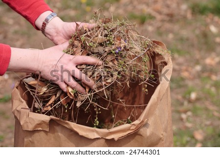 Cleaning up garden by picking up grass clippings and leaves with hands