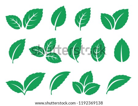 blue mint leaves set icons on white