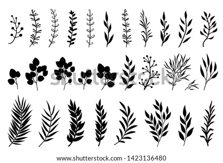 Set of tree branches, eucalyptus, palm leaves, herbs and flowers silhouettes