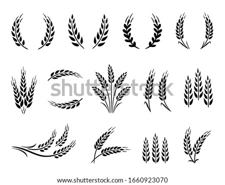 Wheat wreaths and grain spikes set icons Stock foto © 