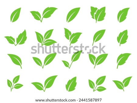 set of abstract isolated green leaves icons, environmental signs and label, plant branches, twigs tea and natural sprigs silhouettes on white background