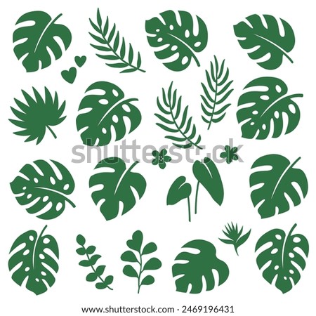 Similar – Image, Stock Photo Monsterra leaf and eucalyptus