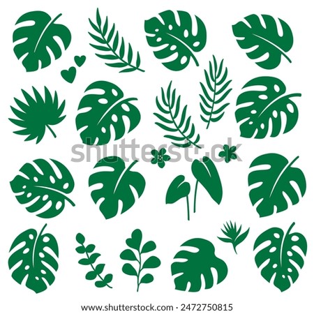 Similar – Image, Stock Photo Monsterra leaf and eucalyptus