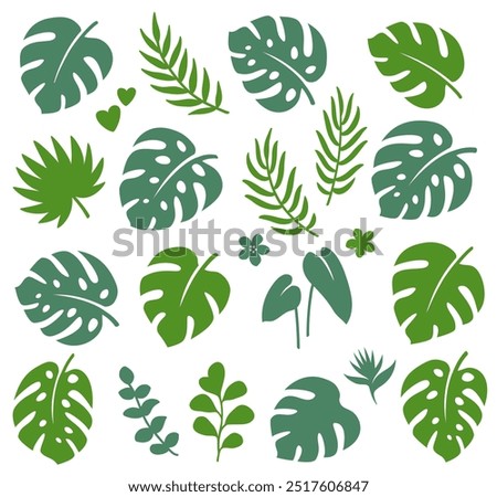 Similar – Image, Stock Photo Monsterra leaf and eucalyptus
