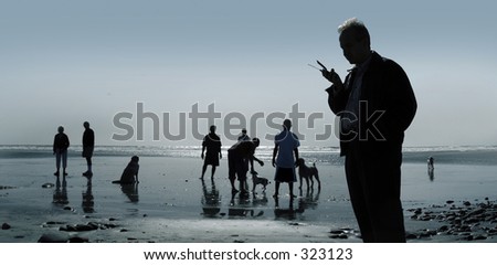 Dogs and people at the beach