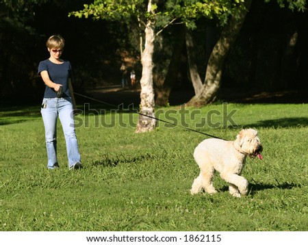Woman walking with her dog in the park