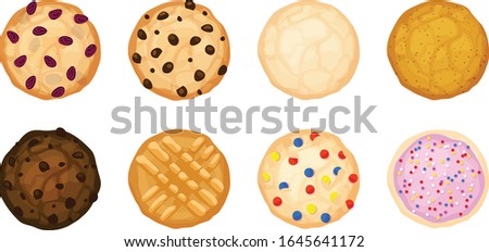 Eight various cookies in a flatlay view. Oatmeal raisin, chocolate chip, sugar, snickerdoodle, fudge, peanut butter, candy, and frosting and sprinkle cookies. Isolated vector illustrations.