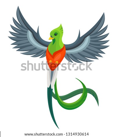 Quetzal Bird Drawing | Free download on ClipArtMag