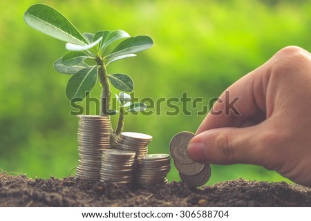 Money and plant with hand with filter effect retro vintage style