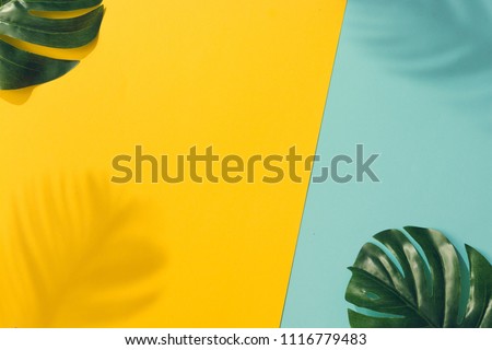 Similar – Image, Stock Photo Tropical flat lay of three vegan popsicle and half of ripe pineapple on cyan background