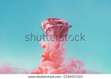 Similar – Image, Stock Photo Creative concept plant flower photo of tulip in the form of a light bulb. Eco light on colored background. Ecology, thinking concept