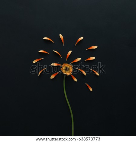 Similar – Image, Stock Photo Rose hip fireworks Nature