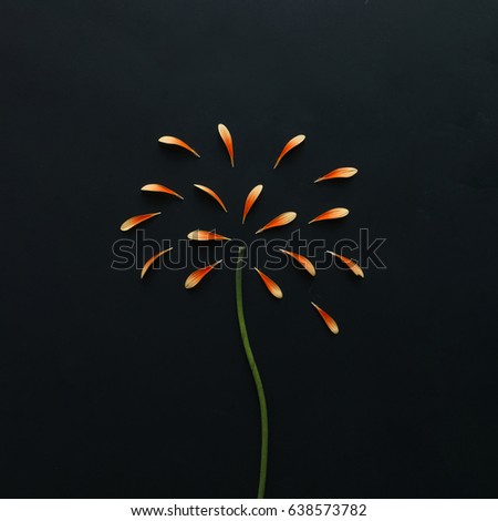 Similar – Image, Stock Photo Rose hip fireworks Nature