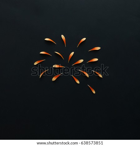 Similar – Image, Stock Photo Rose hip fireworks Nature