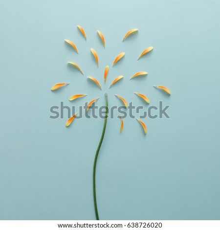 Similar – Image, Stock Photo Rose hip fireworks Nature