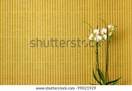 White orchid flower on linen background
