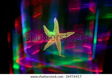 There is a starfish with colorful red, green, blue background