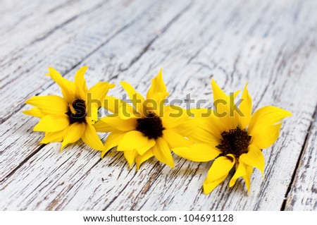yellow sunflowers on a wooden board, three yellow flowers, on a wood board