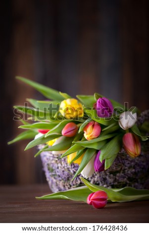 colorful tulips in a natural basket with rustic dark Background, mystic light
