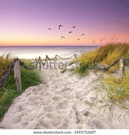 Similar – Image, Stock Photo Landscape in the dunes near Norddorf on the island Amrum