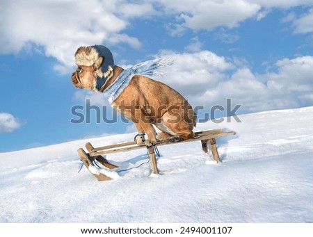 Similar – Image, Stock Photo Sledging in the snow