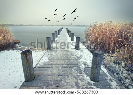 Long Wooden