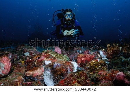 A diver is hovering in the bubbles coming from the underwater source, Puerto Galera, Philippines Zdjęcia stock © 