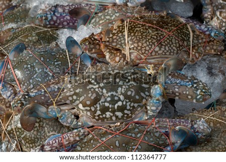 pile of fresh crabs in the market