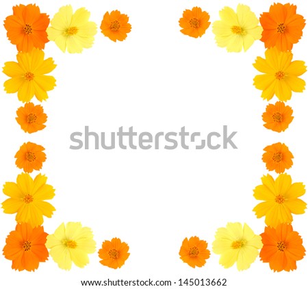 Flower frame with yellow flowers isolated on white background, Marigold flower