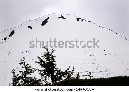White Snow Mountain Tree Outlined against Sky, Seward Highway, Anchorage, Alaska