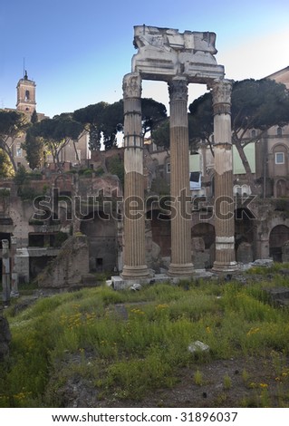Ruins, Corinthian Columns, of the Forum of Julius Caesar Spring Flowers Rome Italy