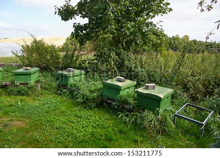 Organic Ecological Honey bee hives in an agriculture farm