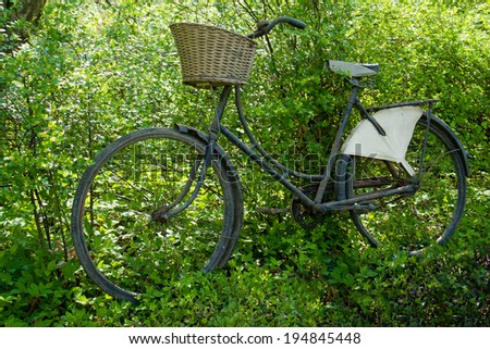 Vintage classical old Bicycle against a tree in field country side picnic outdoors background
