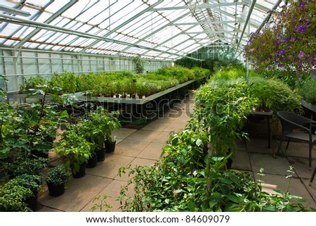 Inside a plastic covered horticulture greenhouse of garden center selling flowers and plants