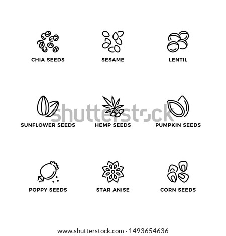 Vector set of design elements, logo design template, icons and badges for seeds. Line icon set, editable stroke. 