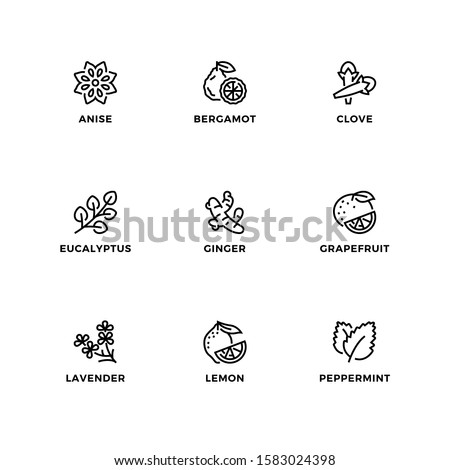 Vector set of design elements, logo design template, icons and badges for editable essential oils. Line icon set, editable stroke. 