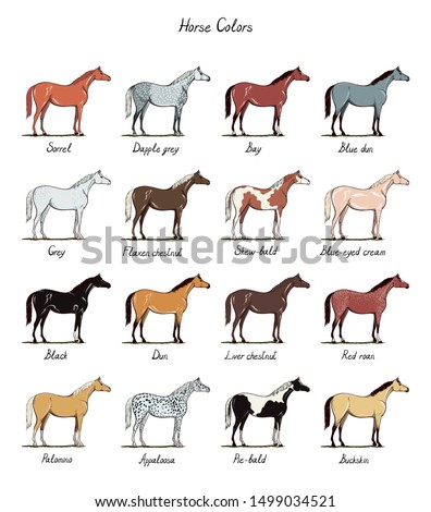 shutterstock  puzzlepix
