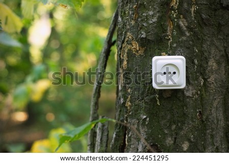 Ecological concept, symbolizing renewable energy, bio energy