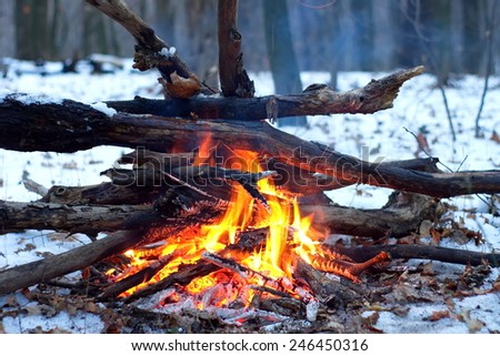 Fire In The Snowy Forest
