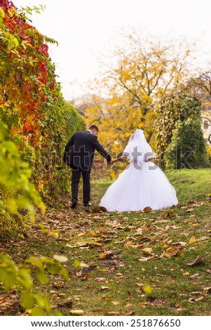 Autumn wedding walk