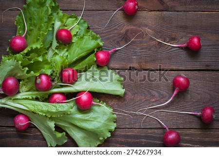 Lettuce and radishes - ingredients for a salad, a healthy food