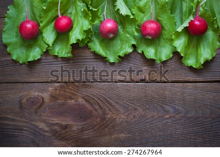 Lettuce and radishes - ingredients for a salad. Free space for text