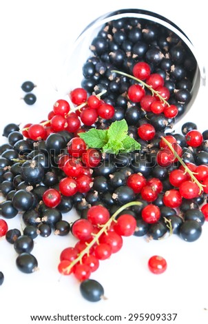Black currant and red currant scattered on white