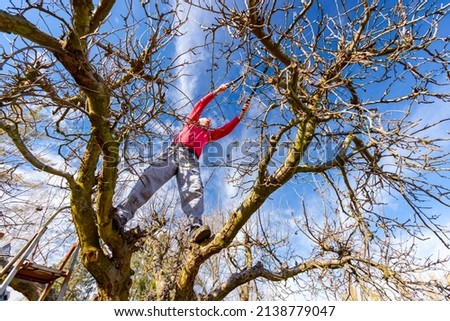 Similar – Image, Stock Photo Senior man pruning branches in back yard