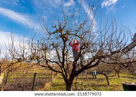 Similar – Image, Stock Photo Senior man pruning branches in back yard