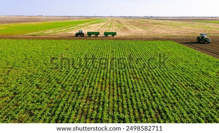 Similar – Image, Stock Photo Path between two corn fields in the evening sun