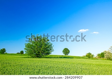 Arable land in a hilly landscape at sunny morning with cloudy sky.