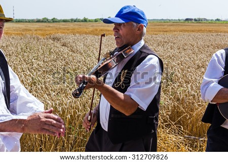 Musicians are play music before start reaping wheat manually in a traditional rural way. Muzlja, Vojvodina, Serbia, - July 05, 2014; XXXI Traditionally wheat harvest.